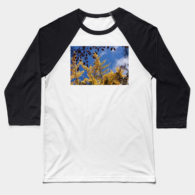 golden gingko tree Baseball T-Shirt by sma1050